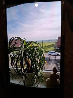 Foto - 3 Zimmer Etagenwohnung in Wiedensahl