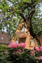 Foto - Einfamilienhaus in Handewitt zum Kaufen