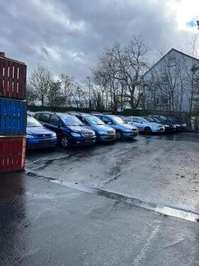 Foto - andere in Neuwied zur Miete