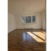 Lüdenscheid 3. Zimmer Mietwohnung 2. Etage Sonnenseite 85qm - Werdohl