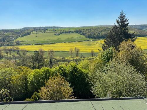 Foto - 5 Zimmer Einfamilienhaus zum Kaufen in Droyßig