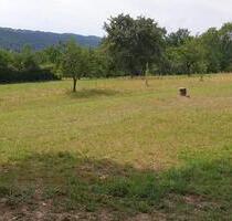 Verpachte in Aichtal Neuenhaus Grundstücke, Obst-Freizeitnutzung