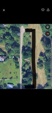 Foto - Landwirtschaftsfläche in eisingen