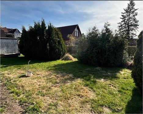 Foto - 5 Zimmer Einfamilienhaus in Schönkirchen