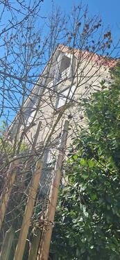 Foto - 5 Zimmer Einfamilienhaus zum Kaufen in Pfaffenhofen