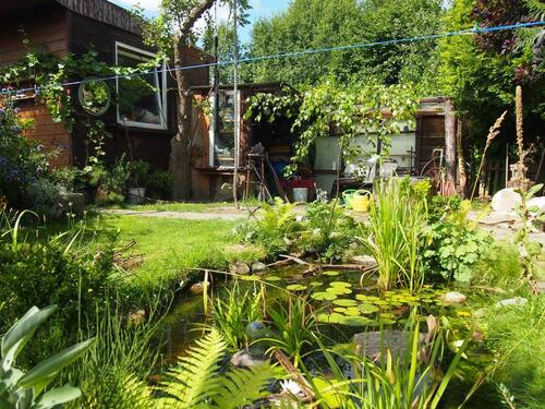 Foto - Grundst&uuml;ck zur Miete in Bad Sülze