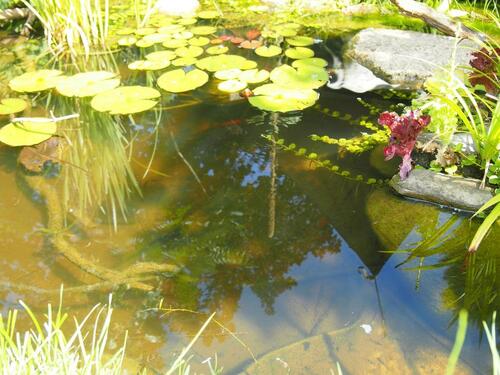 Foto - Grundst&uuml;ck in Bad Sülze