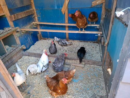 Foto - Garten abzugeben - 3.000,00&nbsp;EUR Kaltmiete, ca.&nbsp; 0,00&nbsp;m&sup2;