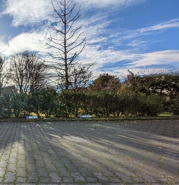 Foto - Aussenstellplatz für Autos, Motorräder, Anhänger