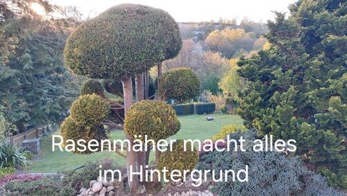Foto - 