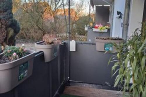 Foto - 3 Zimmer Erdgeschoßwohnung zur Miete in Neuenkirchen