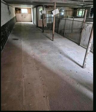 Foto - andere zur Miete in Tellingstedt