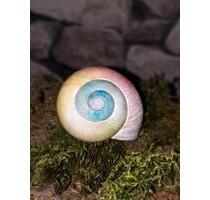 Warmmiete Einzimmerwohnung Teil- möbliert Appartement Küche Bad - Bad Soden-Salmünster