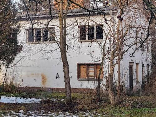 Foto - andere in Artern zur Miete