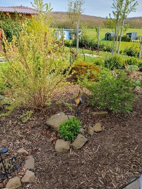 Foto - andere zur Miete in Wasungen