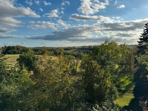 Foto - 7 Zimmer andere zur Miete in Döbeln