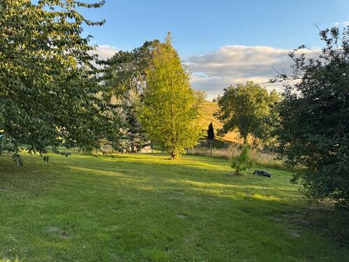 Foto - 7 Zimmer andere in Döbeln