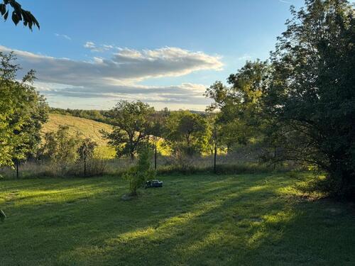 Foto - andere in Döbeln zur Miete