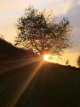 Foto - Reihenmittel Haus - 328.500,00&nbsp;EUR Kaufpreis, ca.&nbsp; 140,00&nbsp;m&sup2;