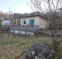 Kleingarten mit Laube, Gewächshaus und vielen Obstbäumen - 378 m² - Solingen Mitte