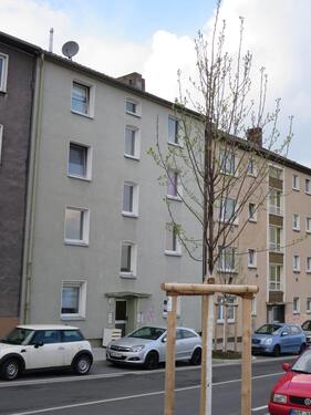 Foto - PRIVAT 2 Zi-Wohnung Nähe ThyssenKrupp,Uni,City
