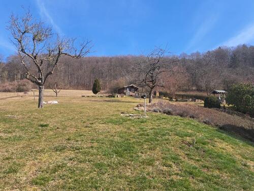 Foto - Etagenwohnung zur Miete in Tann (Rhön)