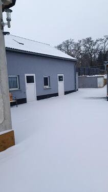 Foto - Doppelhaushälfte in Elsterwerda zum Kaufen