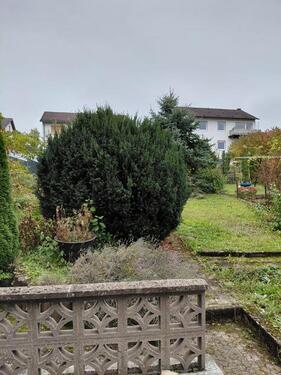 Foto - 8 Zimmer Reihenhaus in Gerolstein