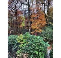 Ruhige Praxisräume am Wald – ideal für Therapie & Beratung - Wuppertal Gemarkung Ronsdorf