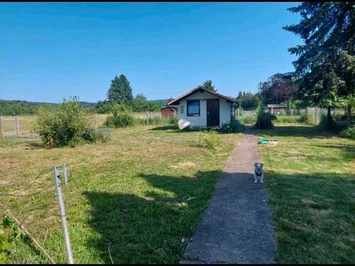 Foto - Grundstück in Hungen
