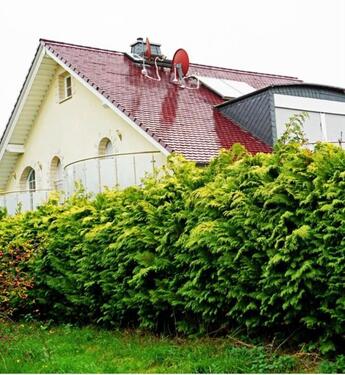 Foto - Freistehendes Einfamilienhaus zum Vermieten oder zum Verkaufen