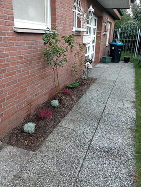 Foto - Bungalow zur vermieten 176m2 - 1.000,00&nbsp;EUR Kaltmiete, ca.&nbsp; 176,00&nbsp;m&sup2;