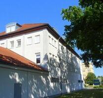 Geräumige und helle 2-Zimmer-Wohnung mit Laminatboden, halboffener Küche und Bad mit Dusche - Senftenberg