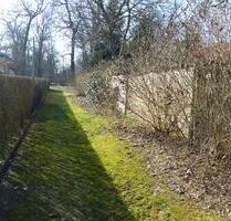 Auktion - Schmale Freifläche zwischen Wohngrundstücken - vertragsfrei - Cottbus Gallinchen