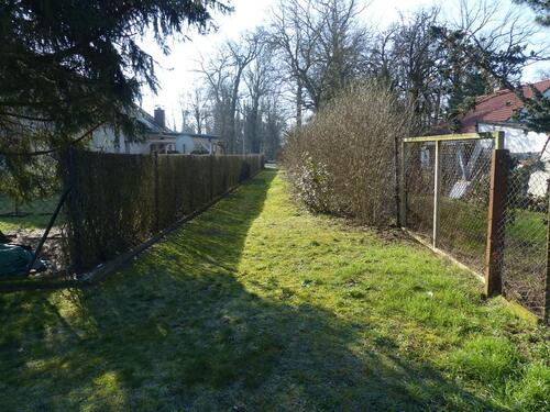 Foto - andere zum Kaufen in Cottbus