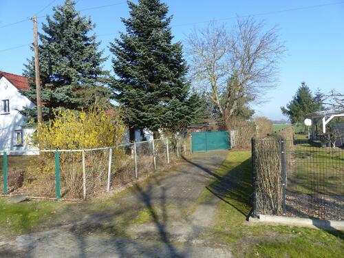 Foto - andere in Cottbus zum Kaufen