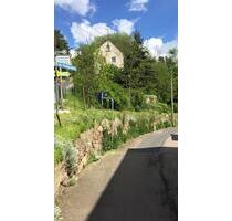 Traumgrundstück mit einem Einfamilienhaus - Klipphausen