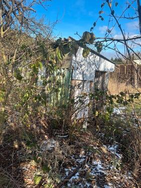 Foto - Grundst&uuml;ck in Torgelow zur Miete