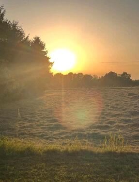 Foto - Bauernhof Resthof Generationshaus