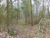 Foto - andere zum Kaufen in Brück