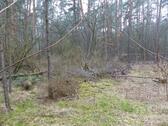 Foto - andere in Brück