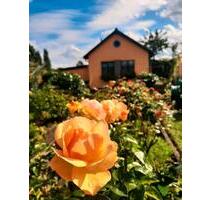 Kleingarten - 3.000,00&nbsp;EUR Kaltmiete, ca.&nbsp; 0,00&nbsp;m&sup2; in Stralsund (PLZ: 18439)