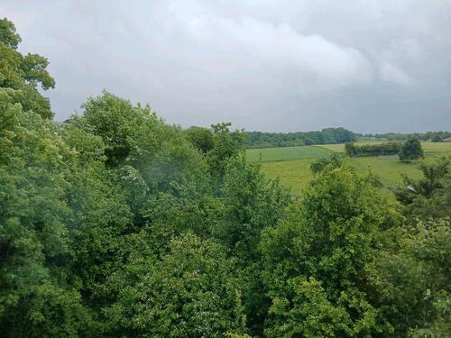 Foto - Dachgeschoss Wohnung ab März zu vermieten