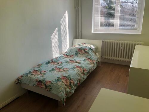 Foto - WG Zimmer Vorzugsweise Weiblich Haustier Erlaubt