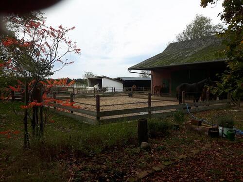 Foto - Einfamilienhaus in Hankensbüttel zum Kaufen