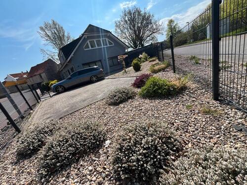 Foto - Einfamilienhaus in Hecklingen zum Kaufen