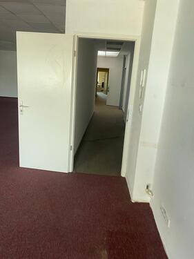 Foto - andere in Molfsee