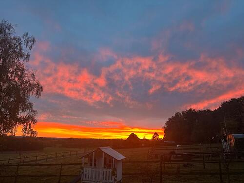 Foto - Wohnung in Westerkappeln 88m2 sofort zu vermieten auch mit Pferd