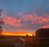 Wohnung in Westerkappeln 88m2 sofort zu vermieten auch mit Pferd