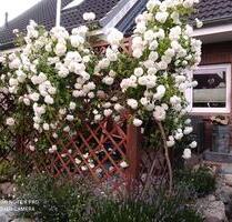 Reihenmittelhaus Bad Schwartau - 459.000,00&nbsp;EUR Kaufpreis, ca.&nbsp; 98,58&nbsp;m&sup2; in Bad Schwartau (PLZ: 23611)